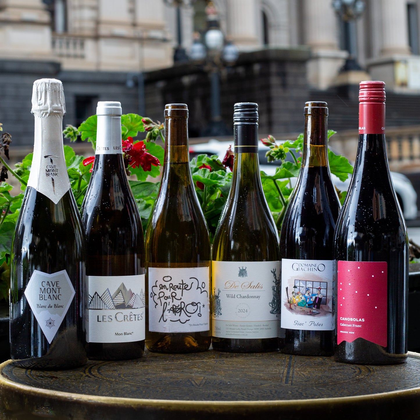 CWS Alpine Wine Six Pack