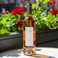 2023 Domaine Gavoty ‘Grand Classique' Rosé